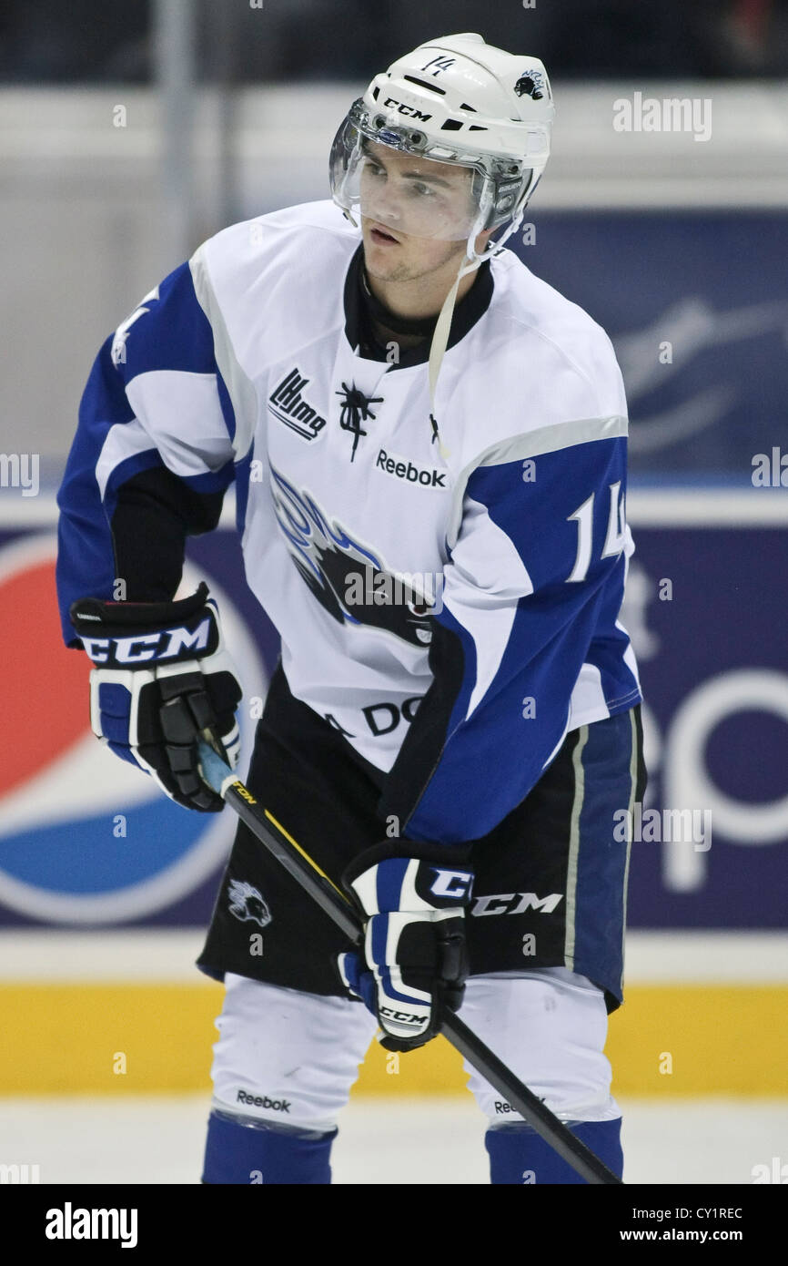 qmjhl-lhjmq-hockey-profile-photo-on-saint-john-sea-dogs-jason-cameron