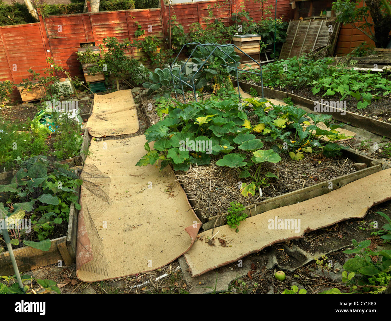 An Apiary By Vegetable Patch England Stock Photo