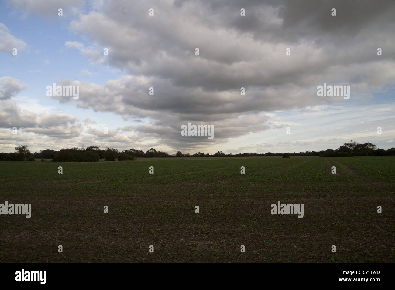 cloud formation over farm land in Sussex Stock Photo