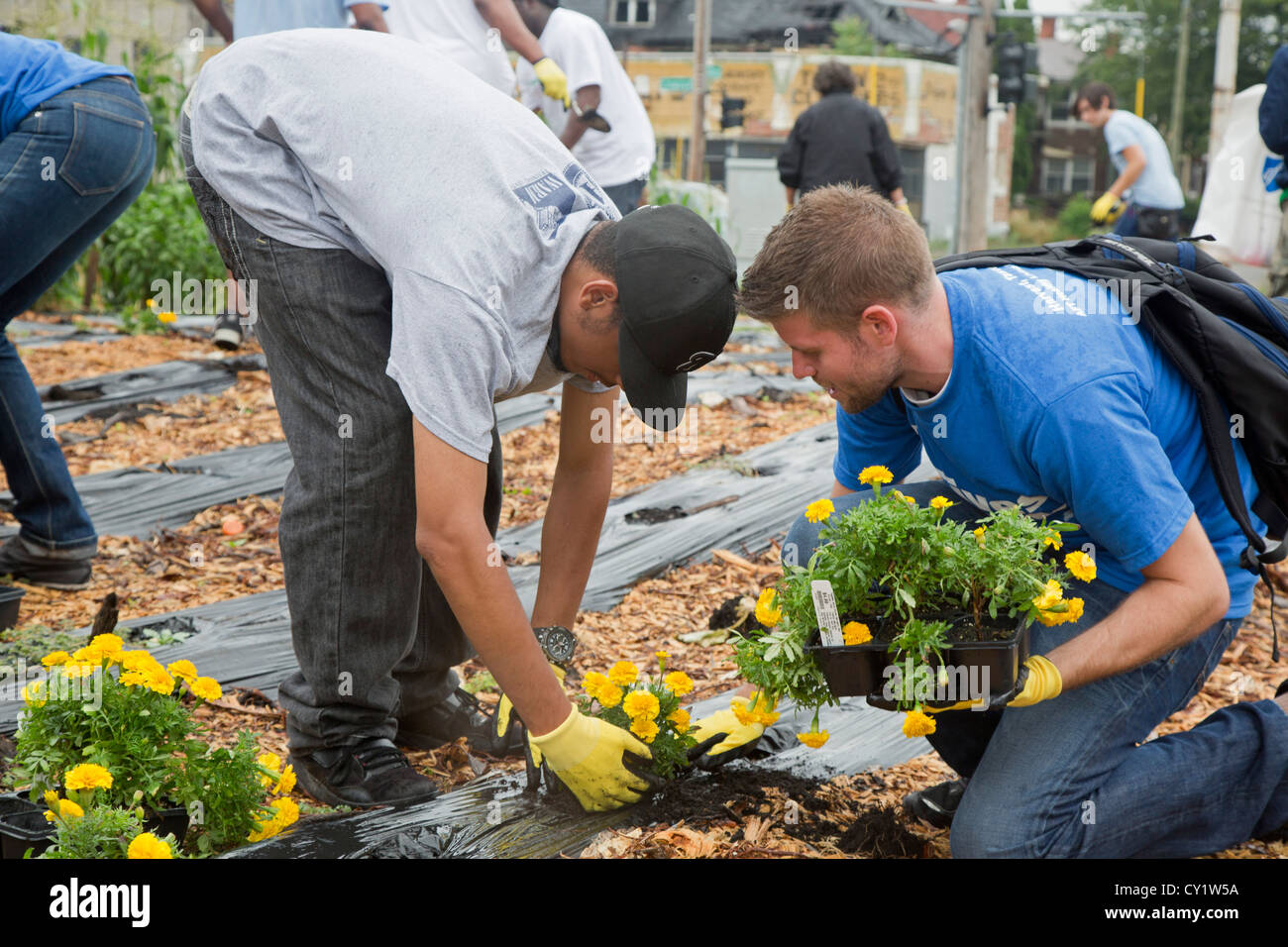 Local Community Work Detroit, Michigan - Volunteers from the American Federation of Teachers ...