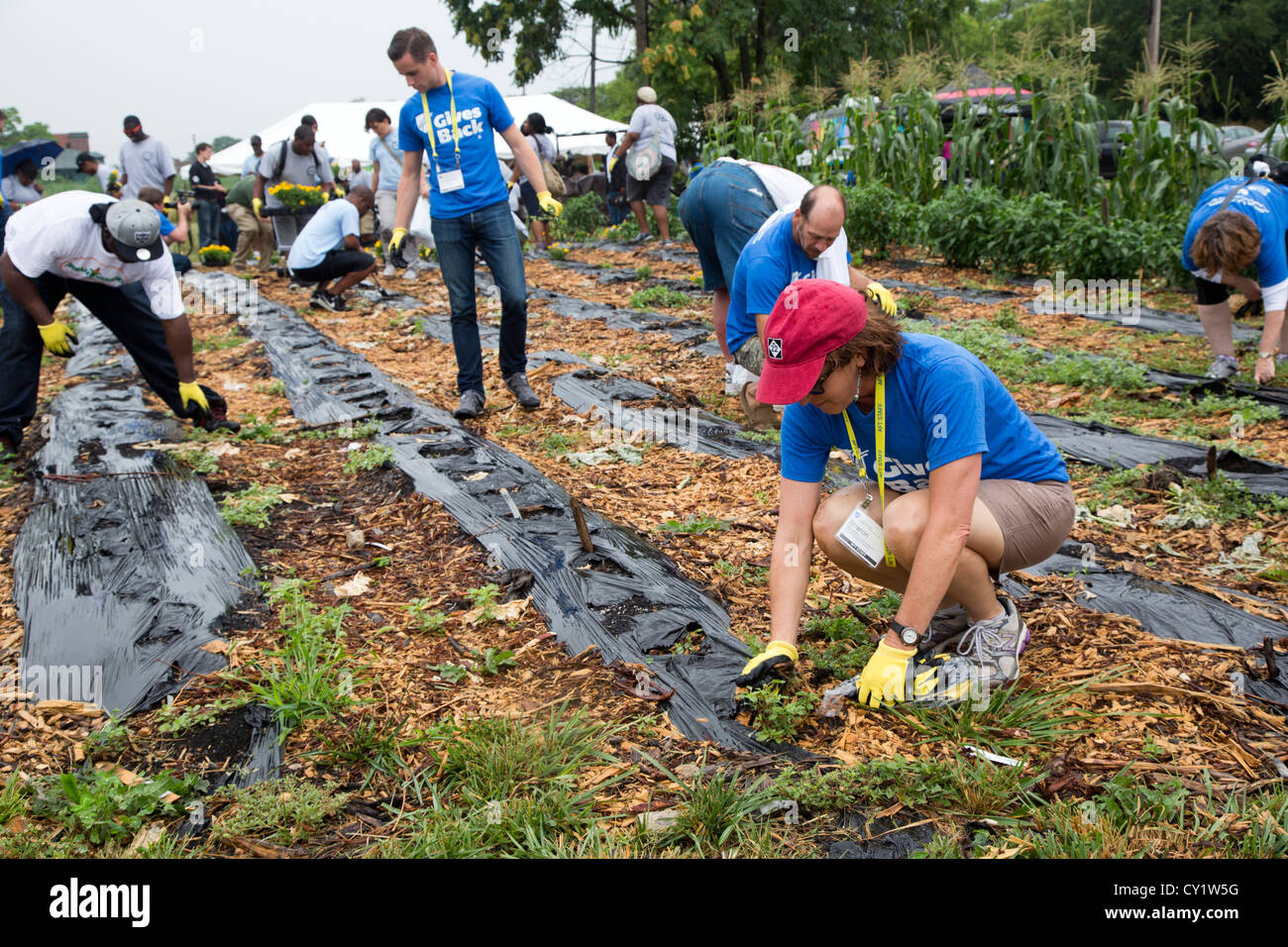 Local Community Work Detroit, Michigan - Volunteers from the American Federation of Teachers ...