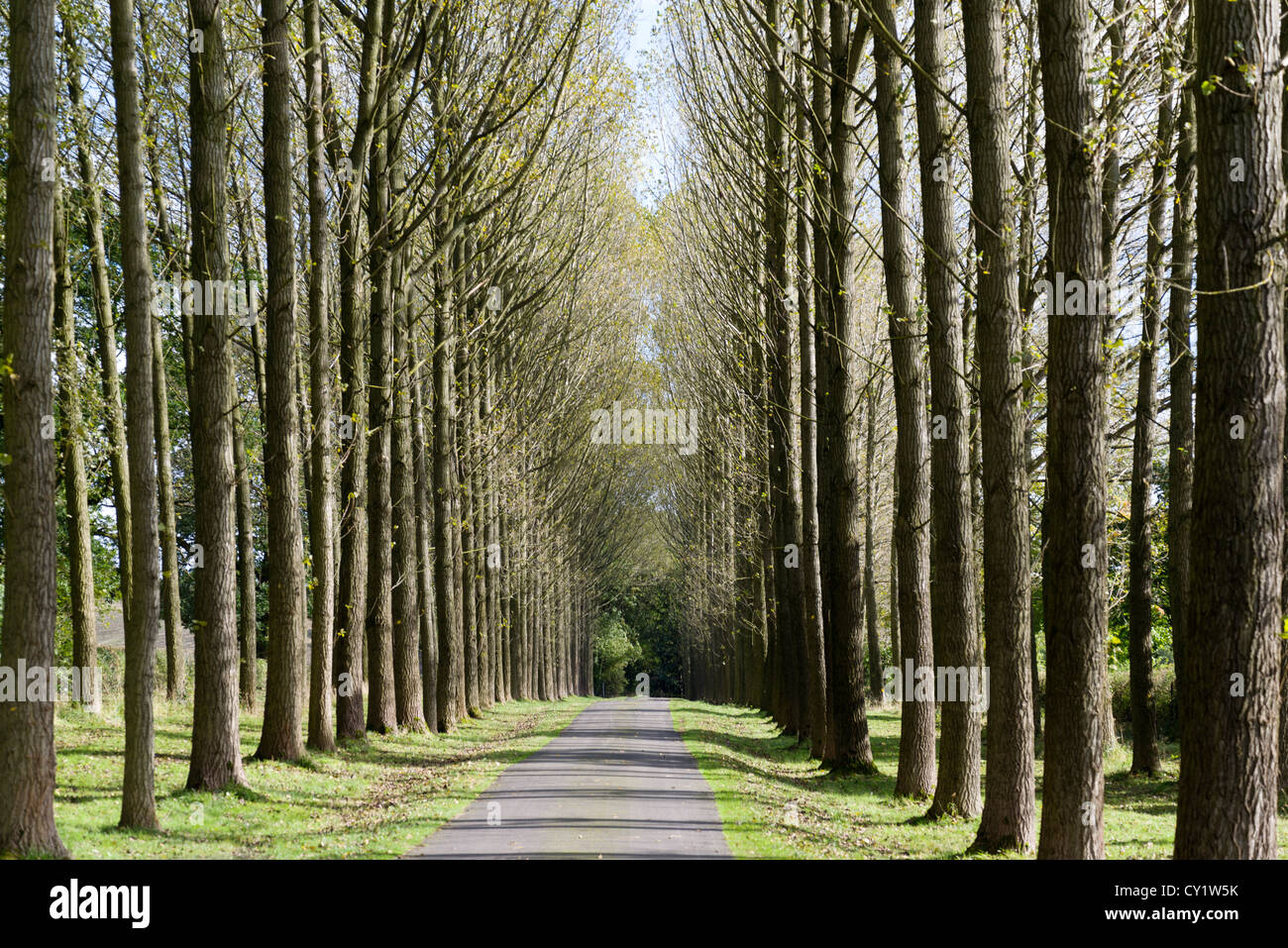 a footpath and public bridleway through the countryside Stock Photo - Alamy
