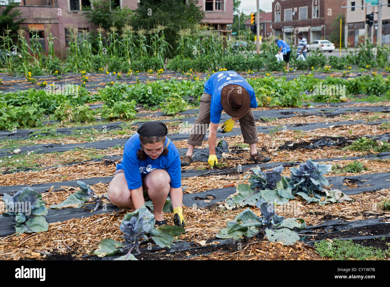 Local Community Work Detroit, Michigan - Volunteers from the American Federation of Teachers ...