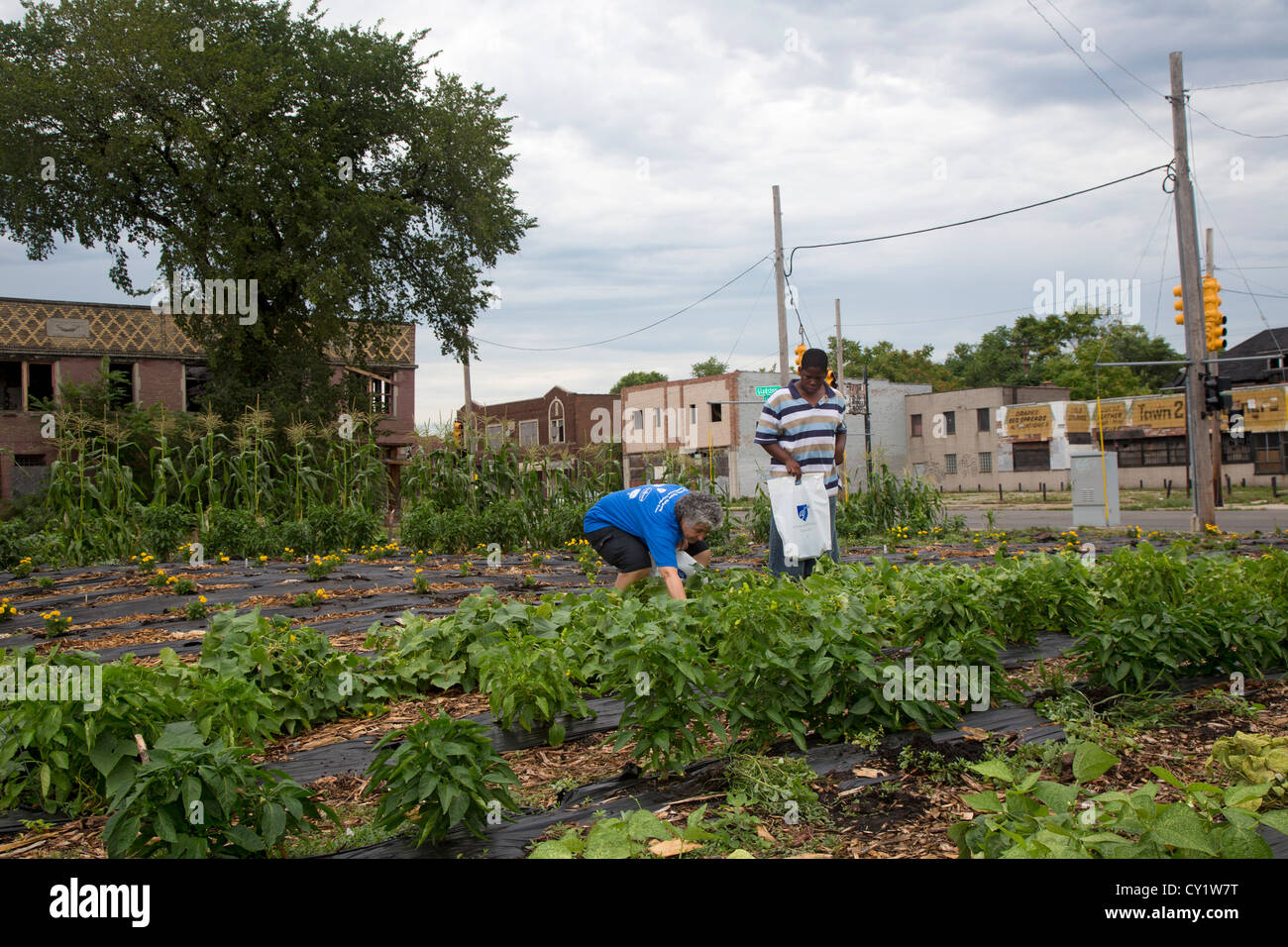 Local Community Work Detroit, Michigan - Volunteers from the American Federation of Teachers ...