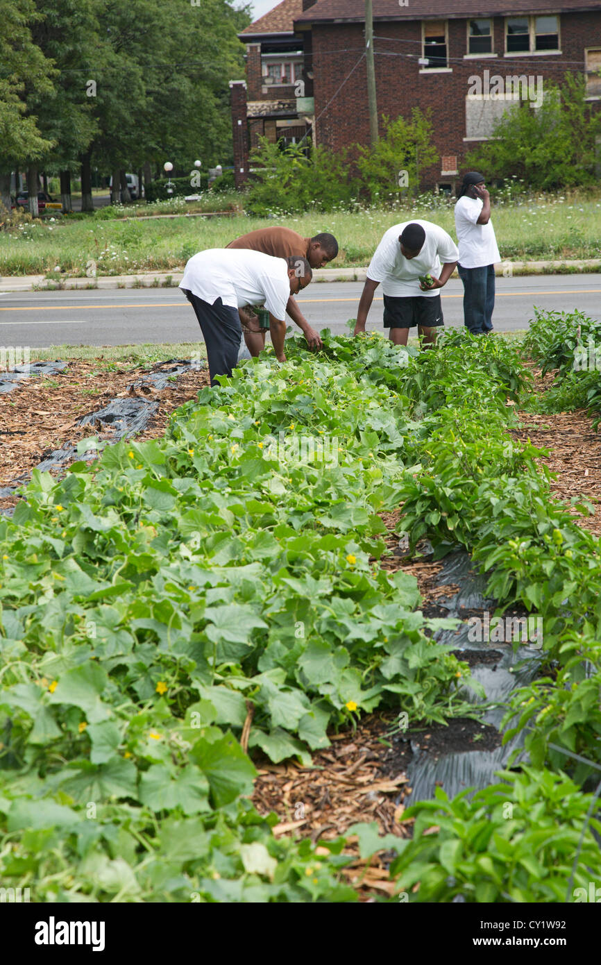 Detroit Michigan Volunteers Work In A Community Garden Stock