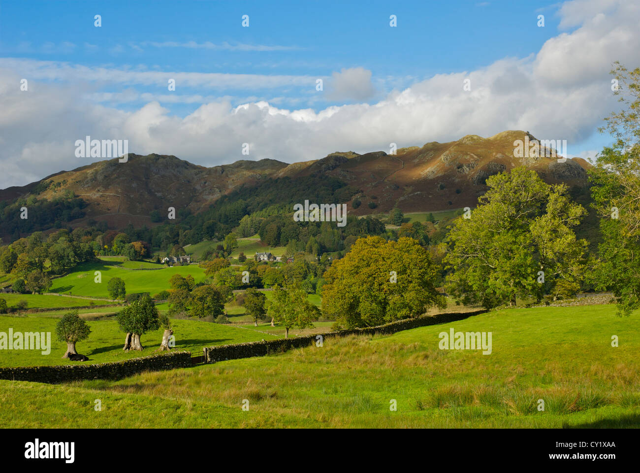 Landscape near Skelwith Bridge, looking towards Loughrigg Fell, Lake District National Park, Cumbria, England UK Stock Photo