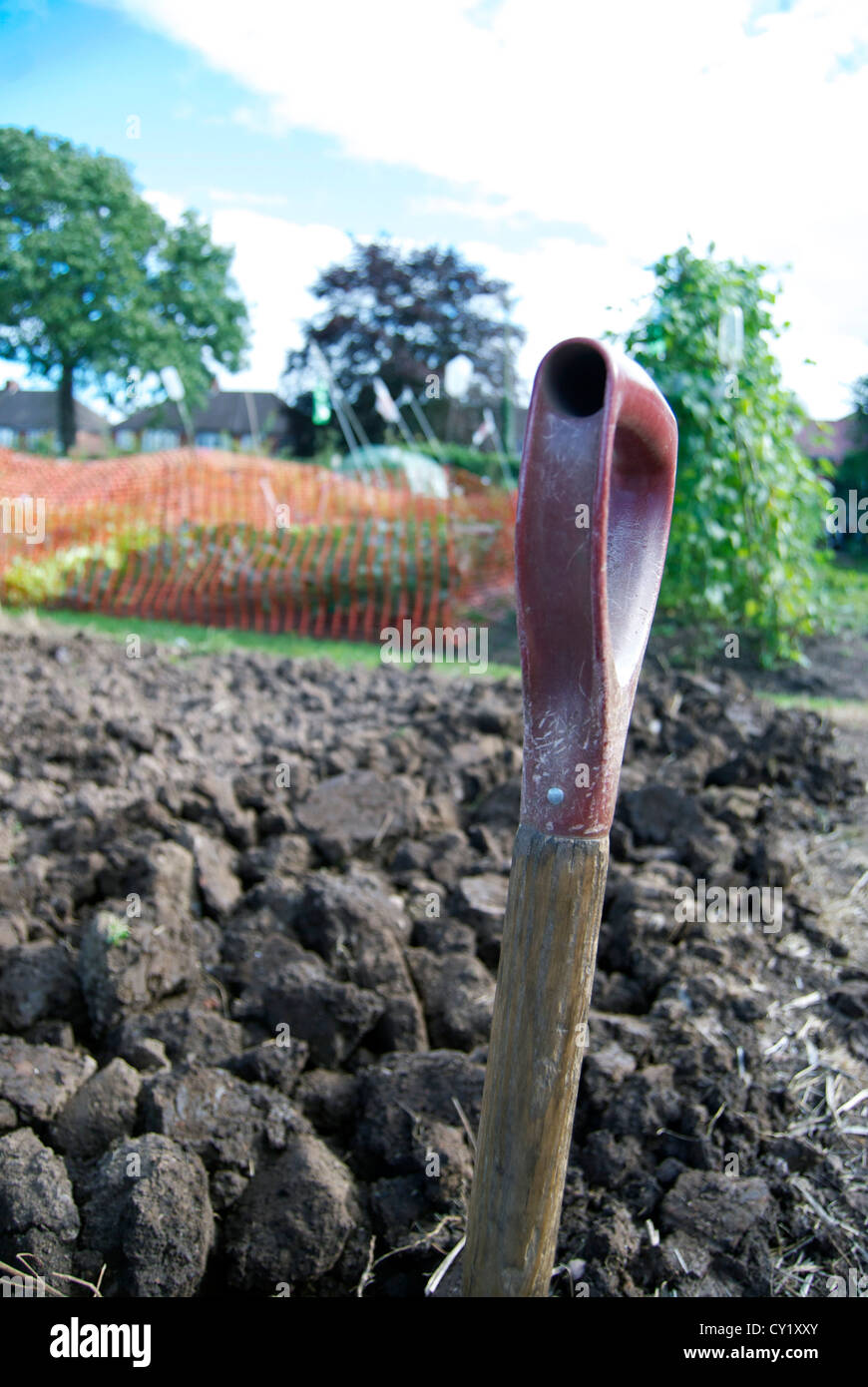 Spade dug into soil in front of allotment Stock Photo