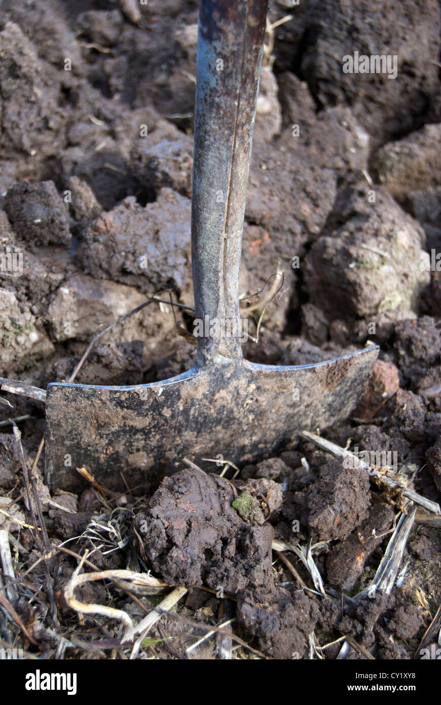 A spade dug into clods of earth Stock Photo