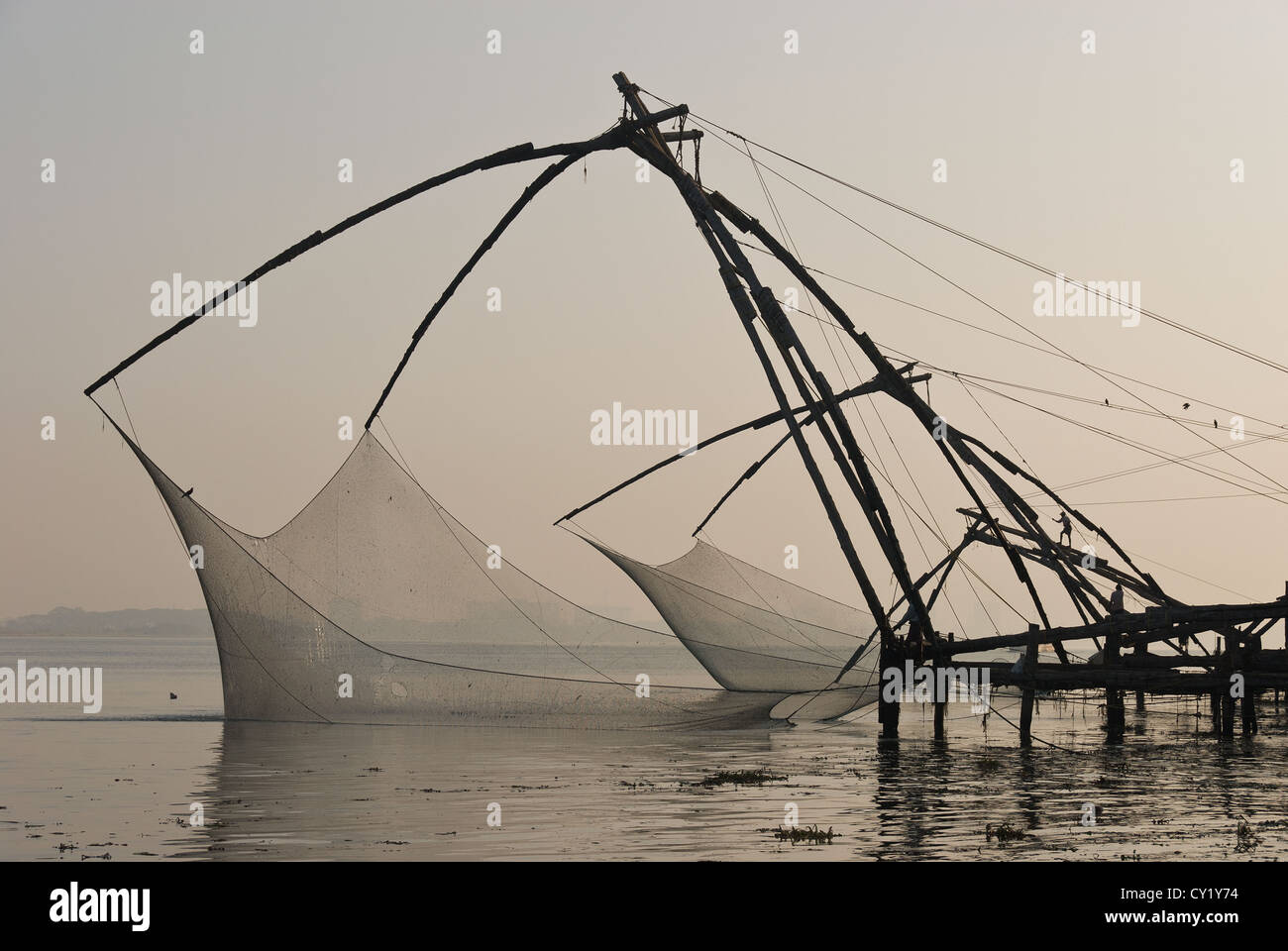 local indian fisherman with traditional throw net at the chinese fishing  nets at kochi india Stock Photo - Alamy