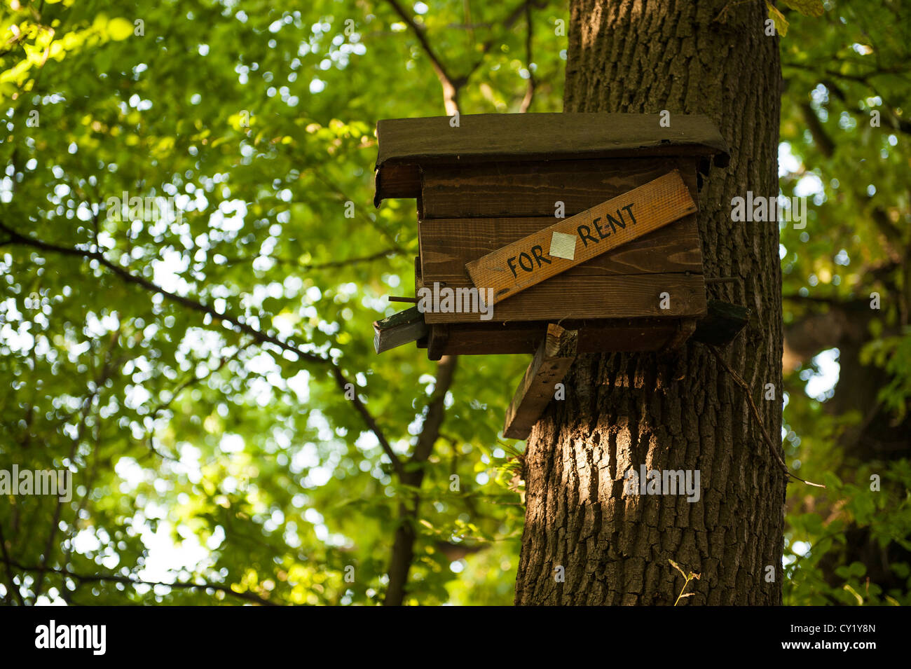 bird house for rent Stock Photo Alamy
