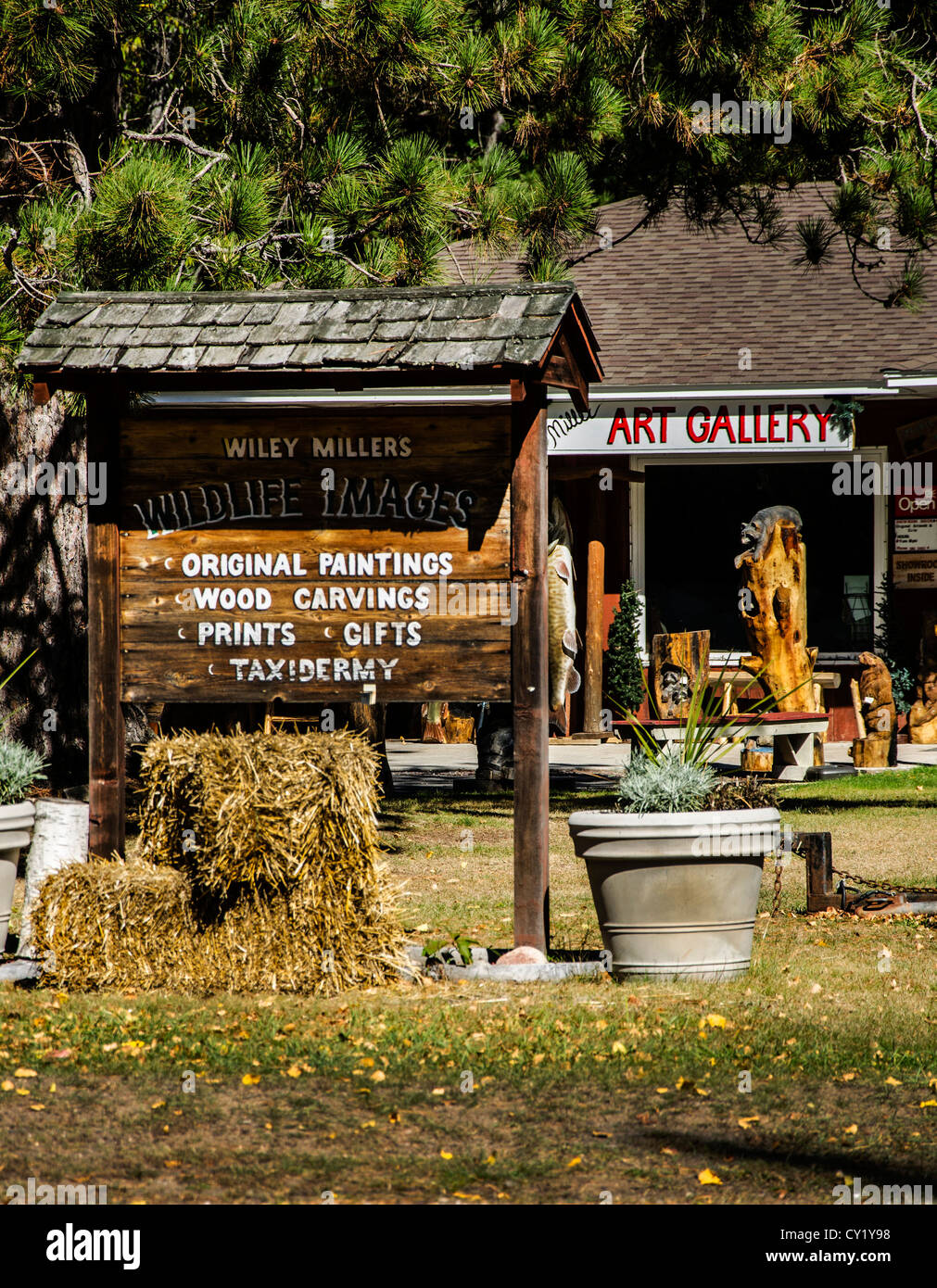 Wiley Miller's Art Gallery in Boulder Junction, Wisconsin features Miller's paintings, chainsaw sculptures and wood carvings. Stock Photo