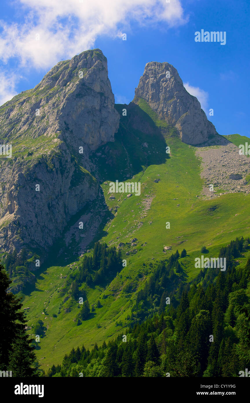 Les Jumelles (The Twins) summits in the Swiss Alps Stock Photo - Alamy