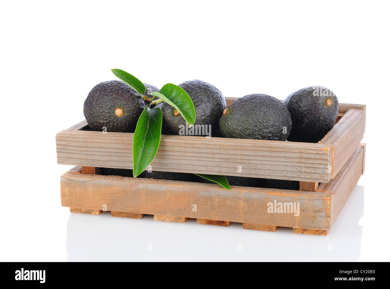 Download Avocados Box High Resolution Stock Photography And Images Alamy PSD Mockup Templates