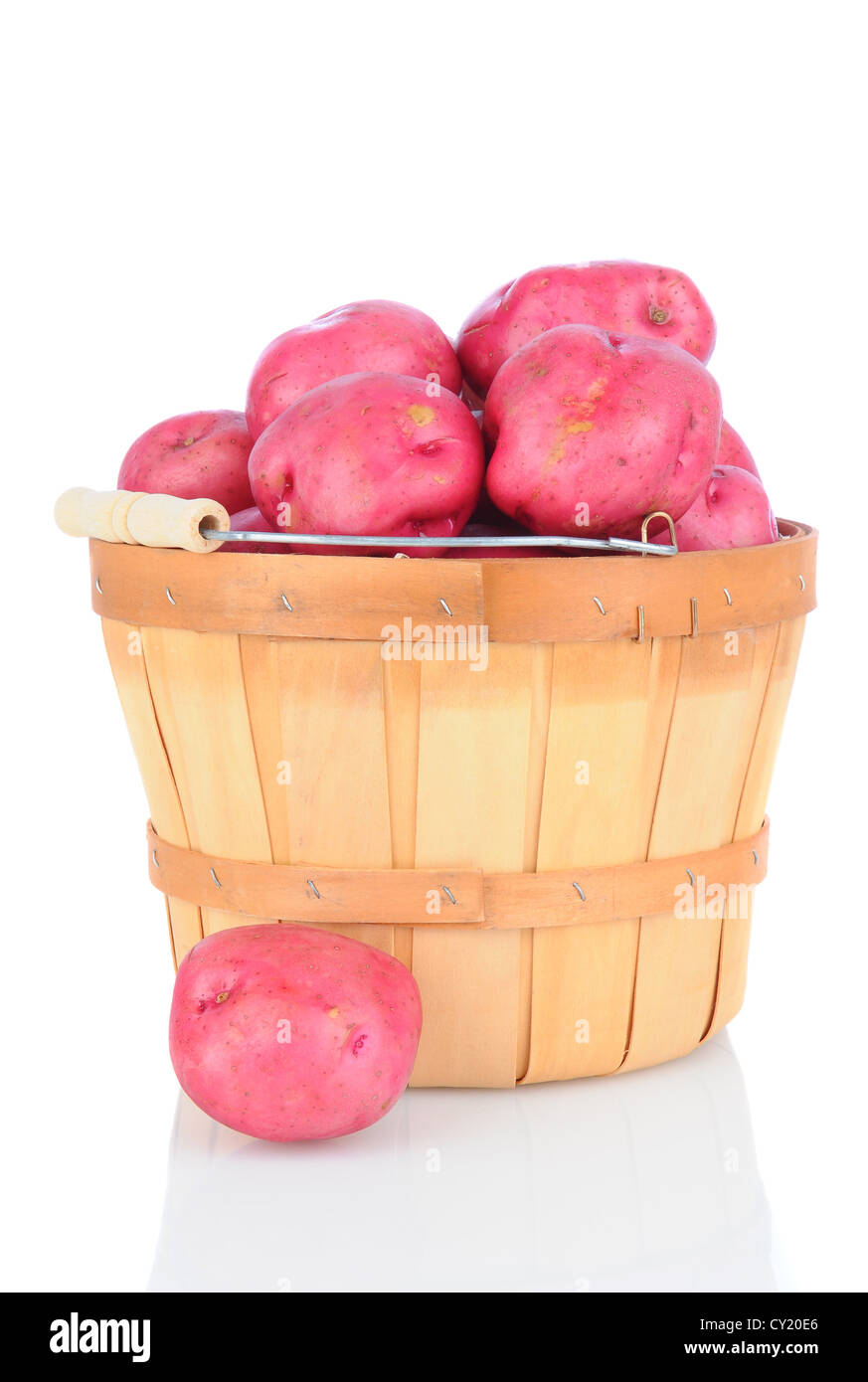 A bushel basket full of red potatoes on white background with