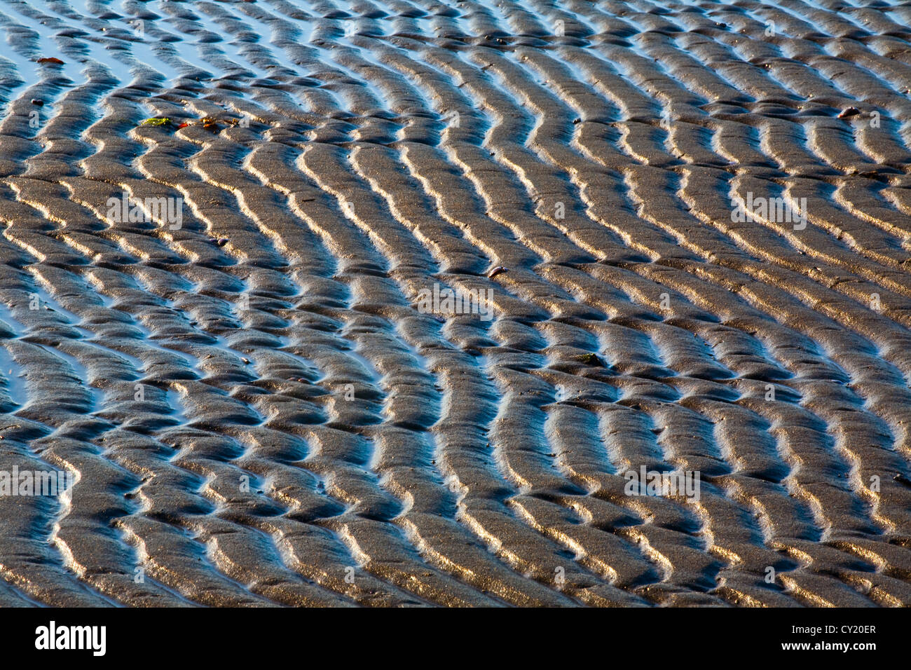 Ripples on a sandy beach at low tide Stock Photo Alamy