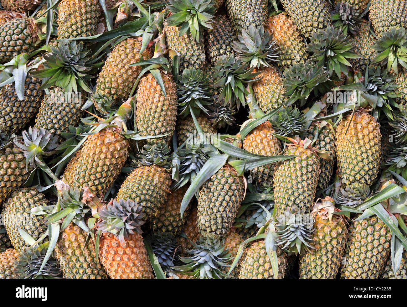 Pineapples for sale hires stock photography and images Alamy