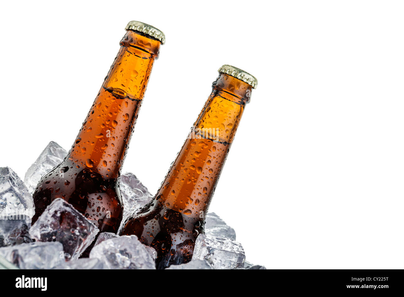 beers on ice with copy space isolated on white background Stock Photo