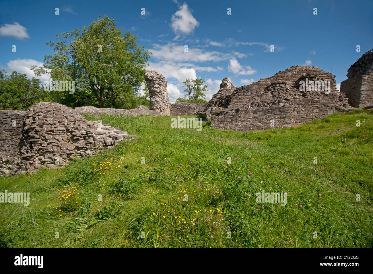Dolforwyn Castle, recently excavated ruins in Powys, Montgomeryshire. Mid Wales.  SCO 8701 Stock Photo