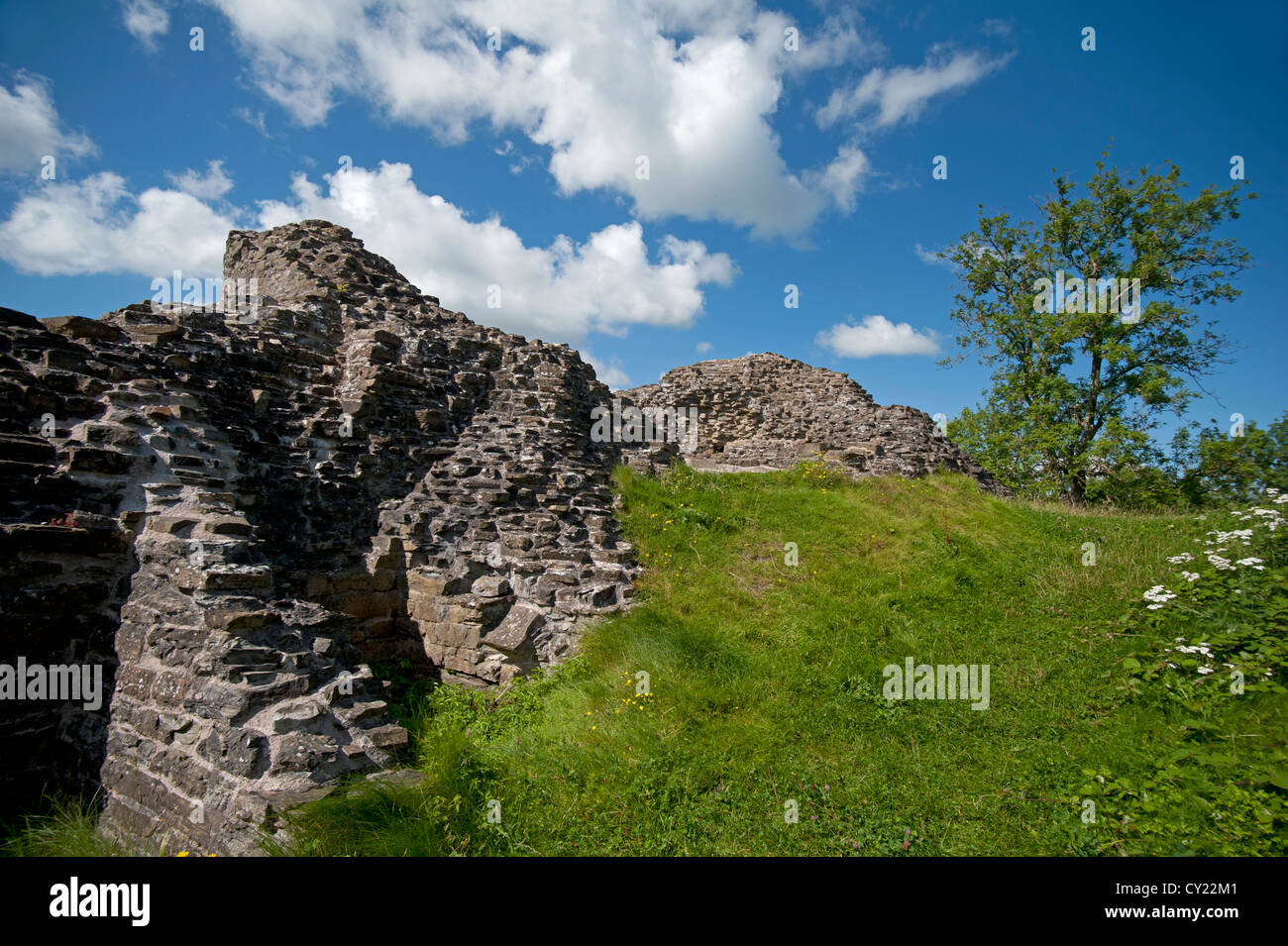 Dolforwyn Castle, recently excavated ruins in Powys, Montgomeryshire. Mid Wales.  SCO 8708 Stock Photo