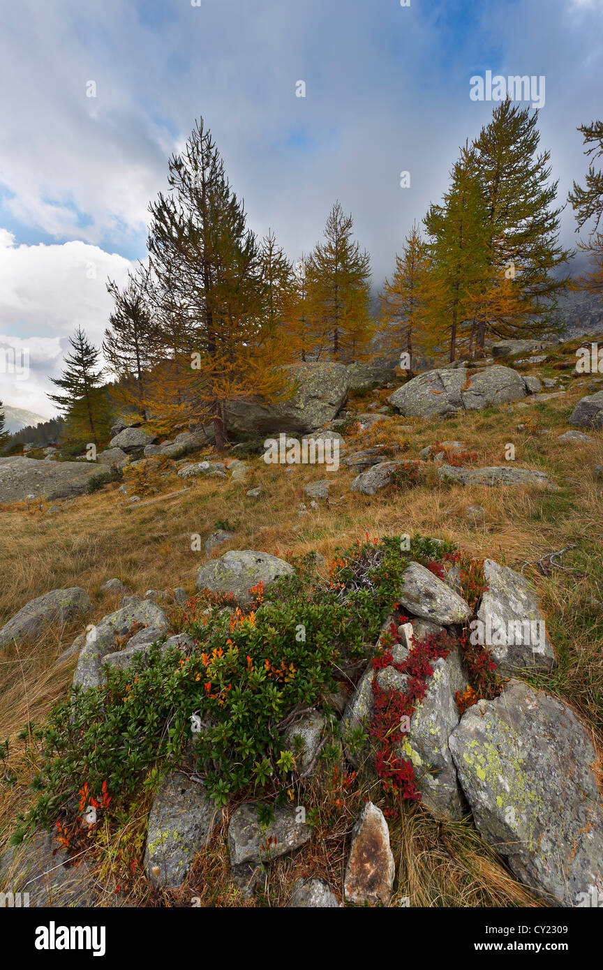autumnal mountain landscape, Gran Paradiso NP, Piedmont, Italy Stock Photo