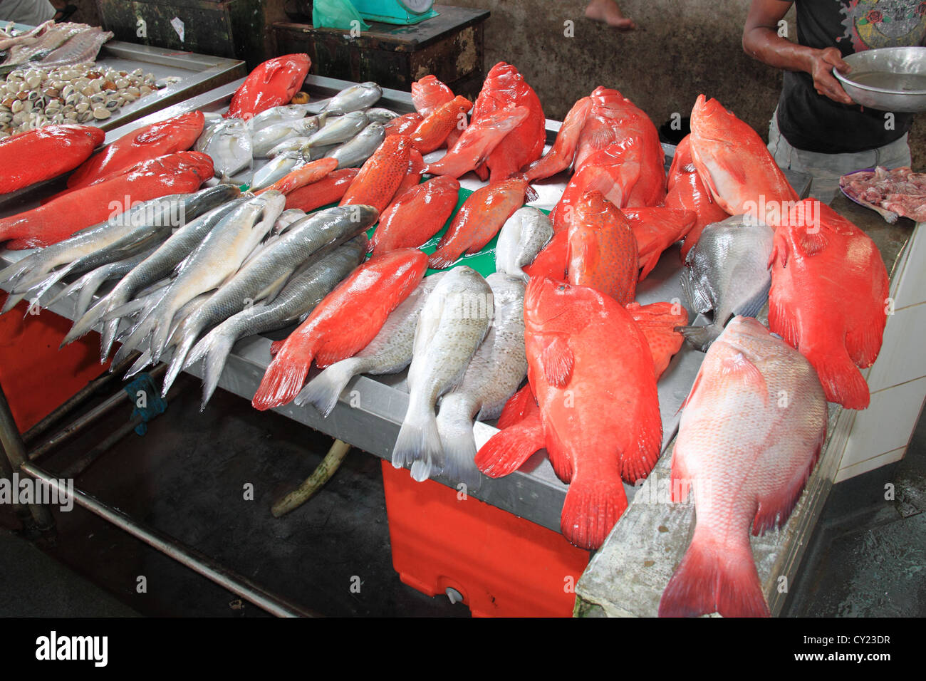 Background Of Fresh Red Sniper Fish On The Asian Fish Market Stock