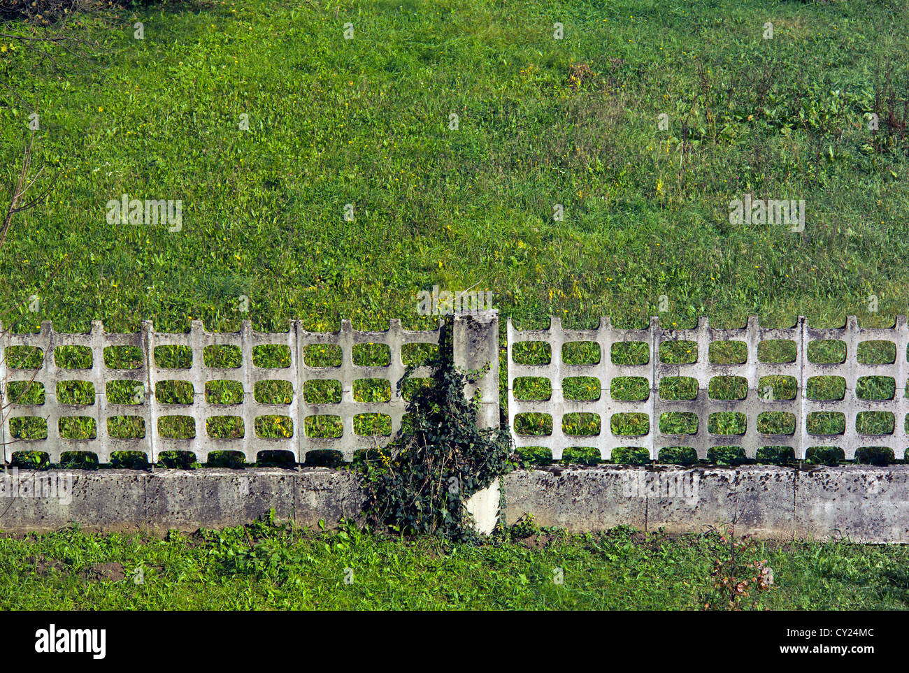 Concrete fence in the backyard of family house Stock Photo Alamy