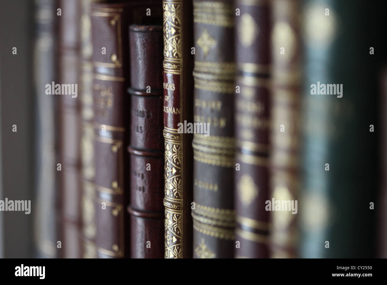Library Stock Photo - Alamy