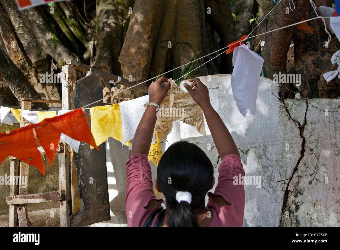 Woman hanging a prayer flag (Buddhist ritual). The Bodhi tree. Temple of the Sacred Tooth Relic. Kandy. Sri Lanka Stock Photo