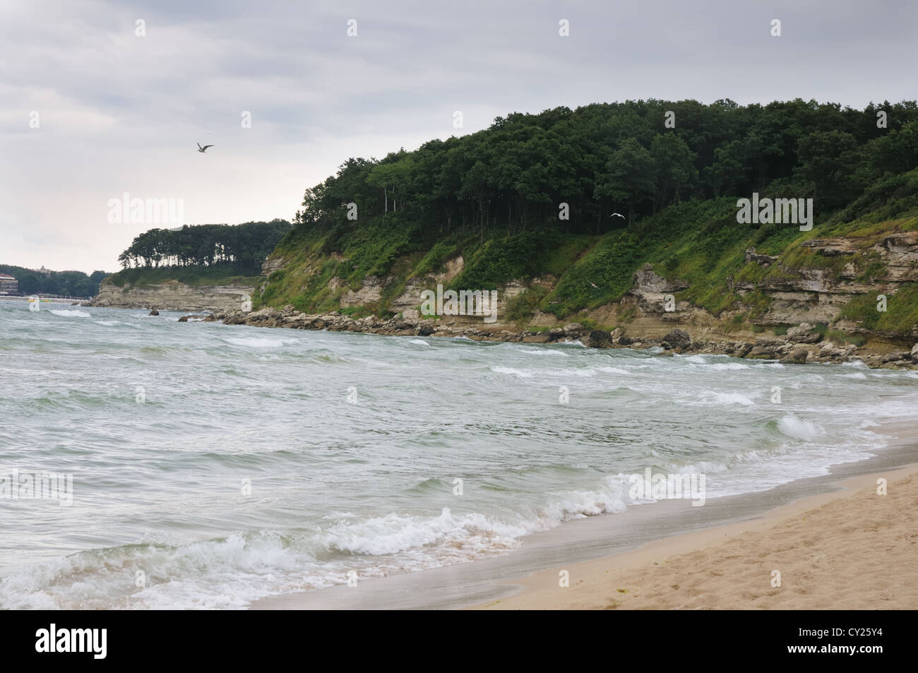 Forested rock cliff between Primorsko and Kiten, Bulgarian Black Sea coast Stock Photo