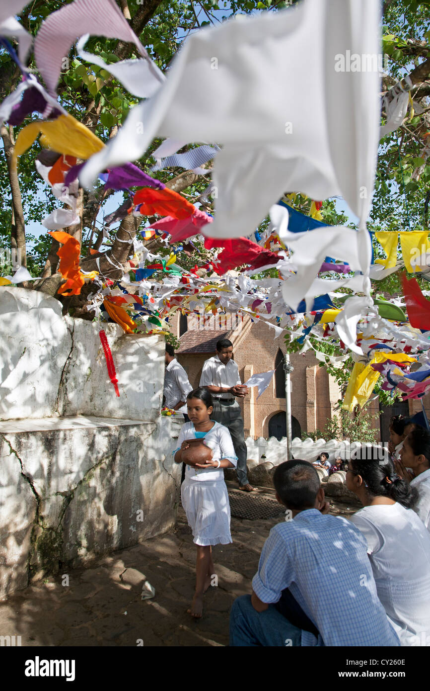 Pilgrims worshiping the sacred Bodhi tree. Kandy. Sri Lanka Stock Photo