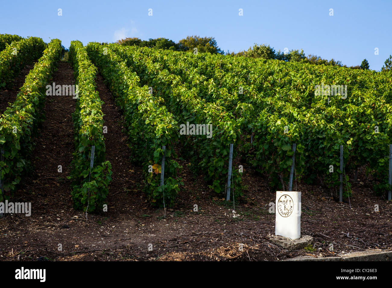 Moet & Chandon Champagne House, Epernay, France Stock Photo - Alamy