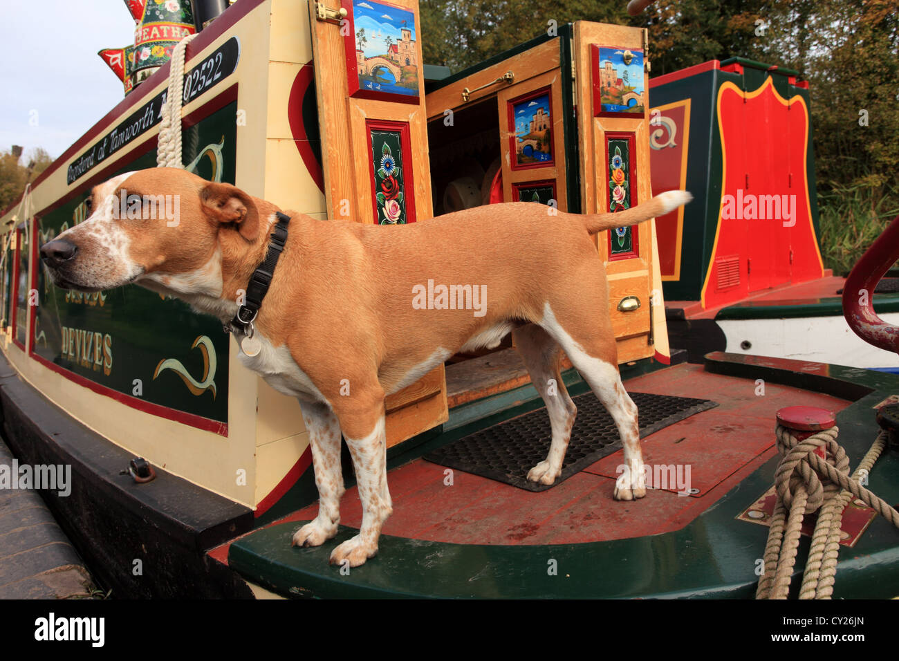 Dog on canal boat hires stock photography and images Alamy