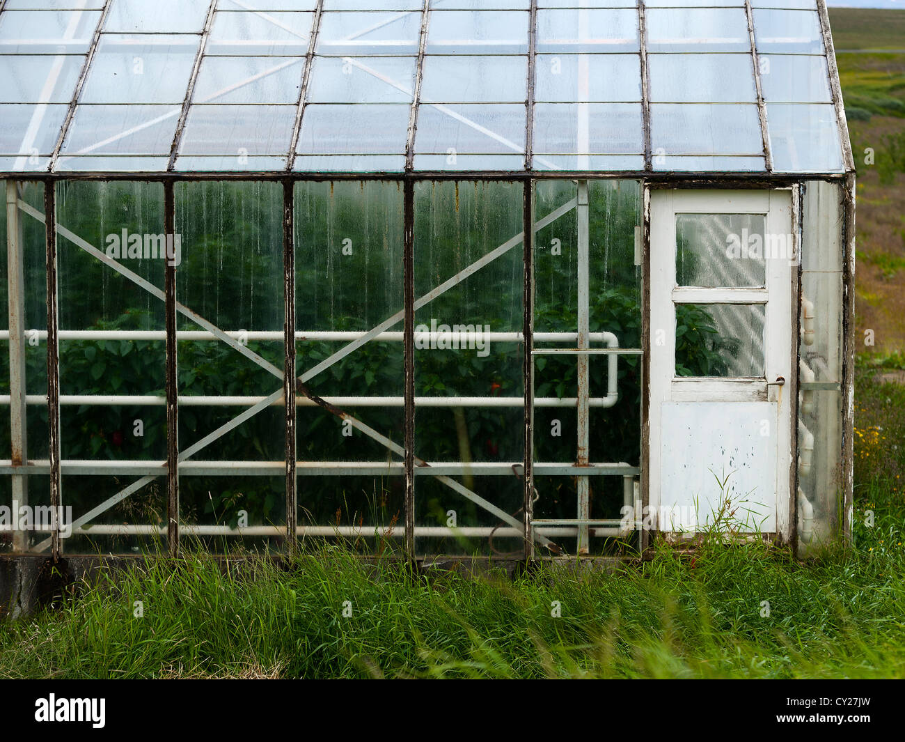A greenhouse in Iceland Stock Photo
