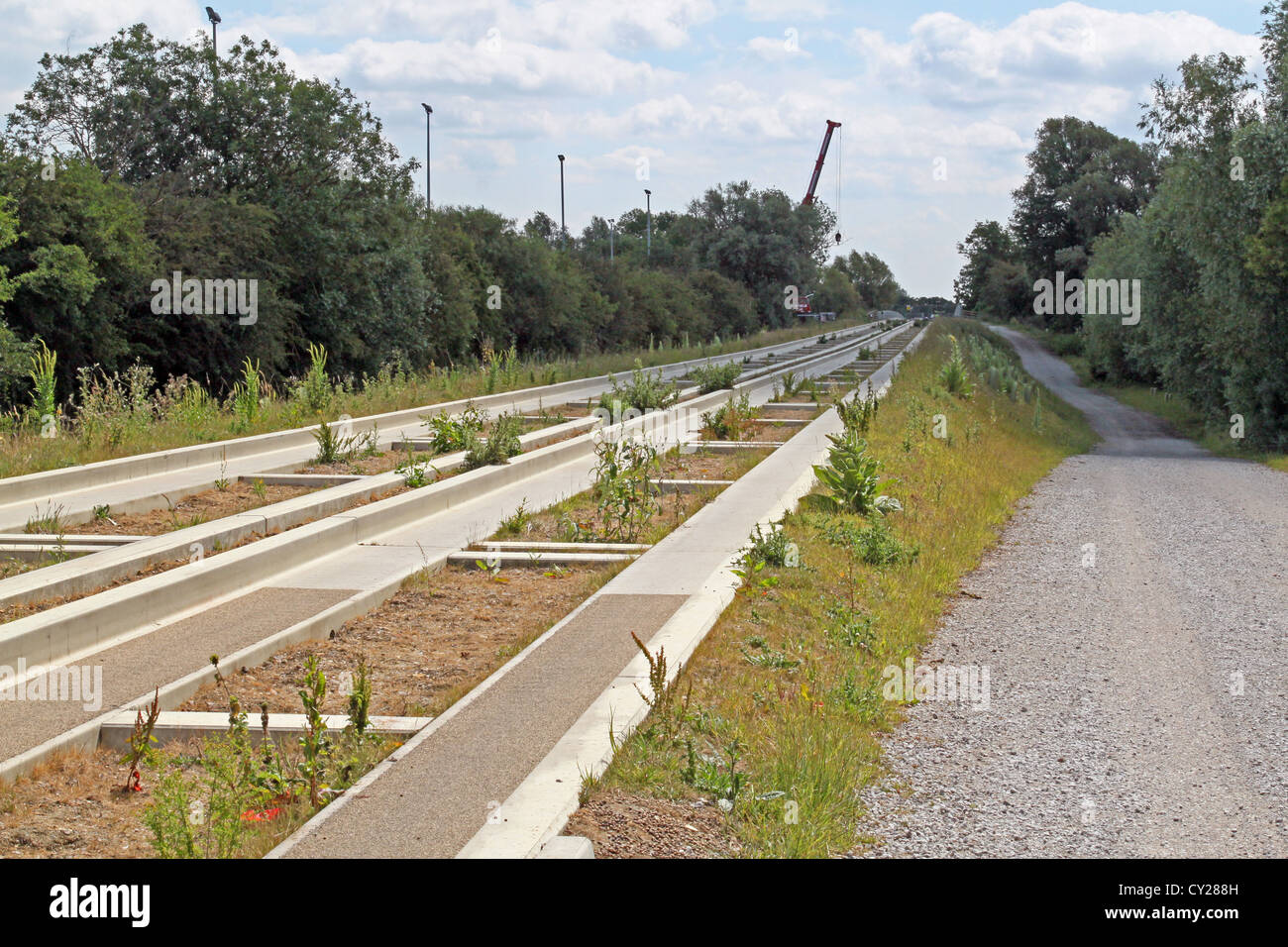 The Guided bus way that connects Cambridge and St Ives in Cambridgeshire England. Stock Photo