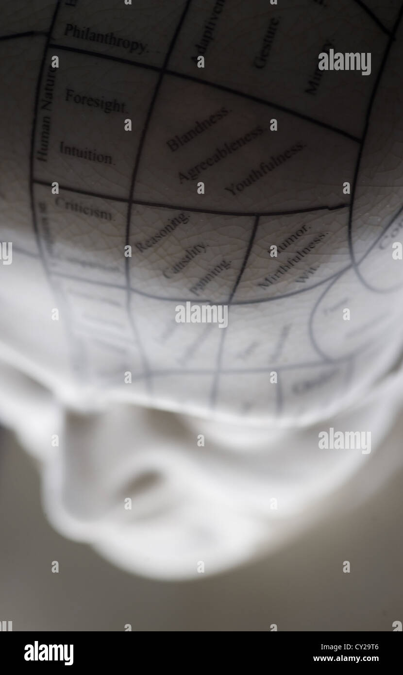 Tippy Top Phrenology