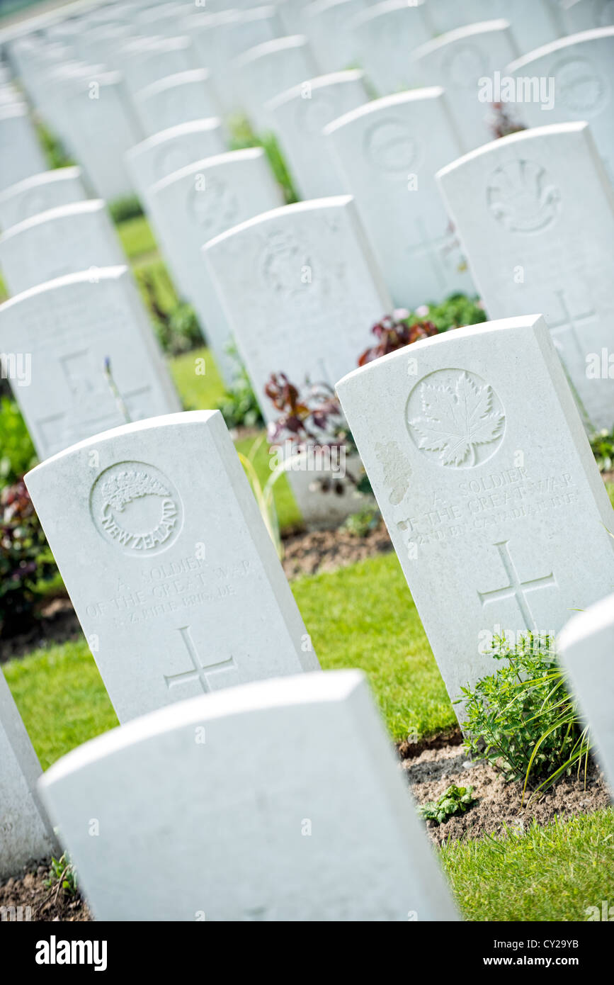 The headstones of fallen Commonwealth servicemen at Tyne Cot WW1 military cemetery Passchendael, Belgium Stock Photo