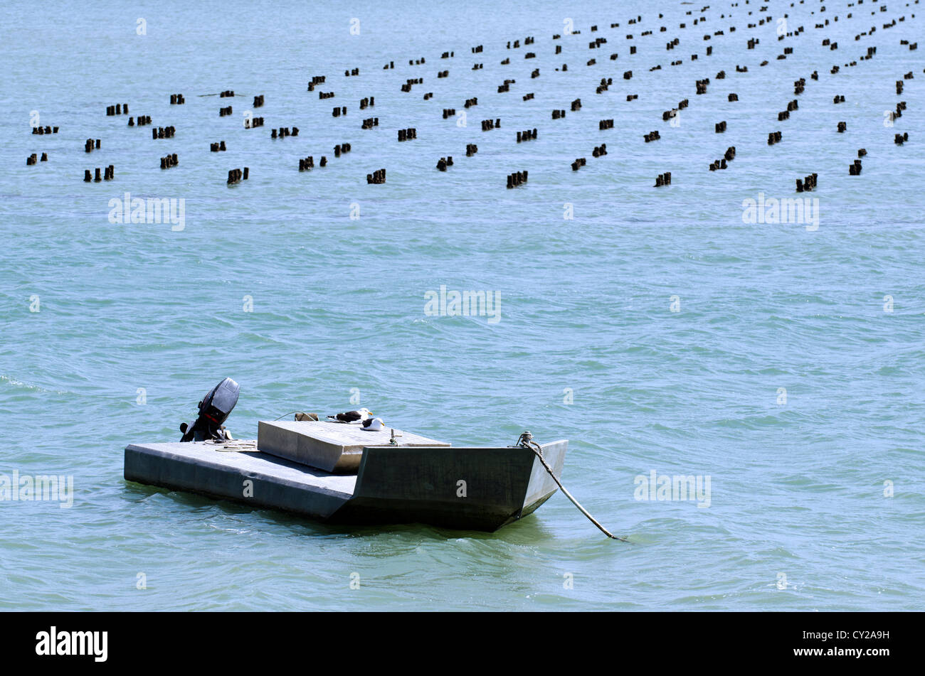 Traditional Oyster Fishing High Resolution Stock Photography and Images