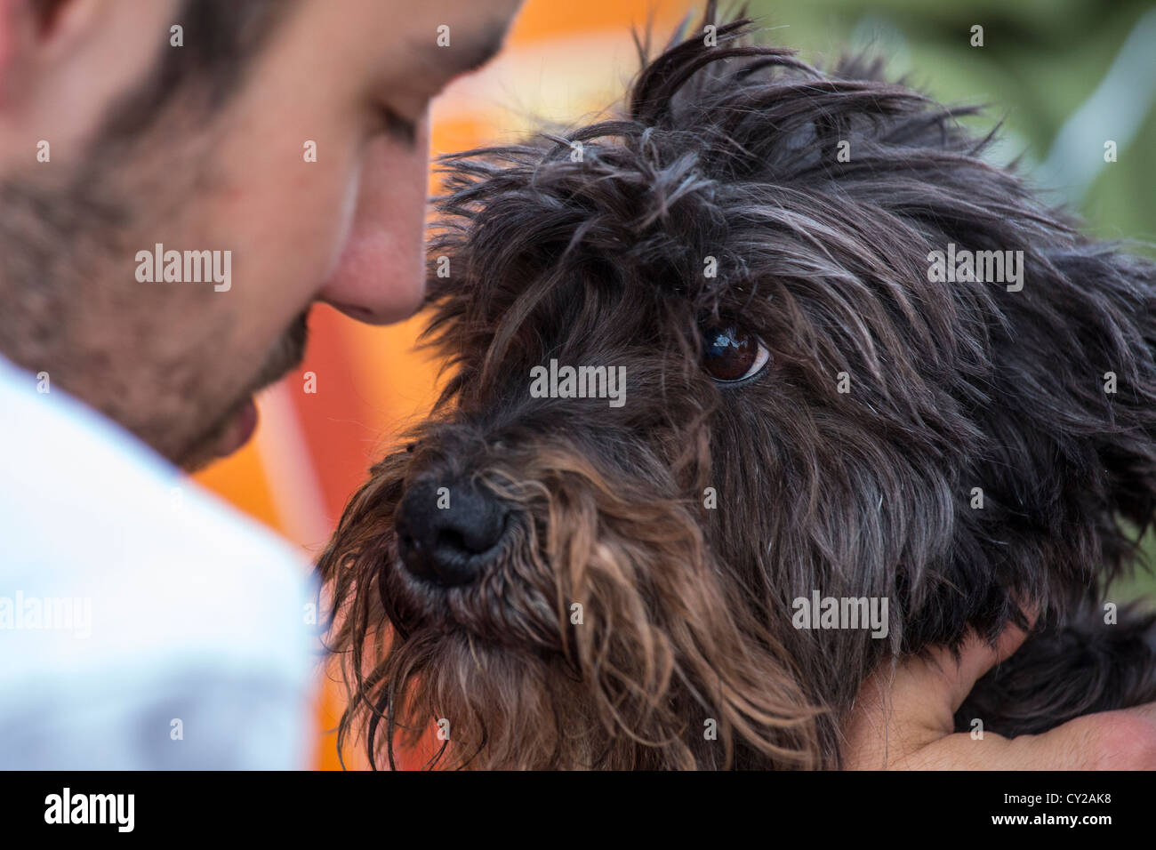 American Foreign Service Officer and his pet dog, Islamabad, Pakistan Stock Photo
