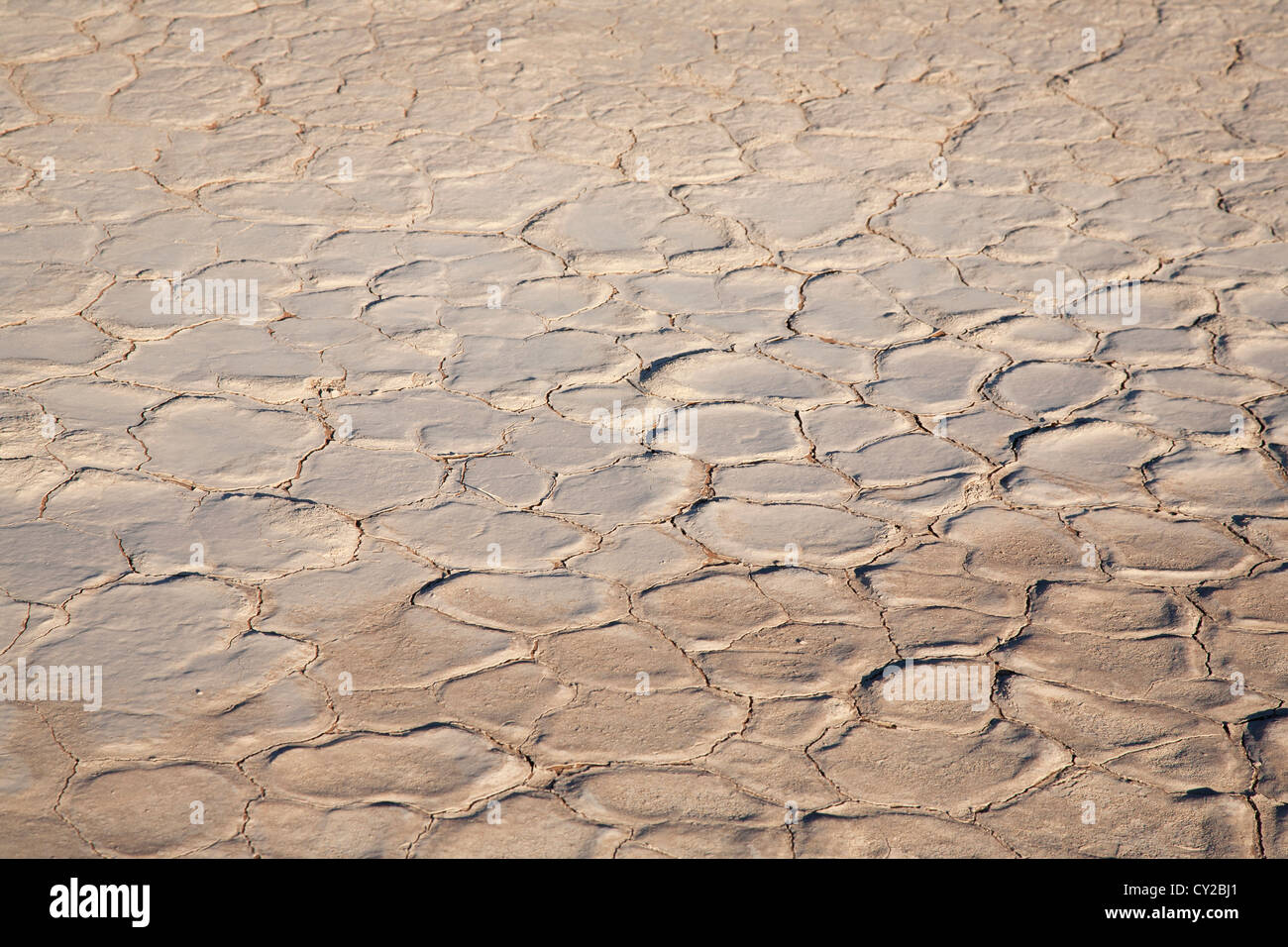 Dry clay surface in the Deadvlei Stock Photo - Alamy