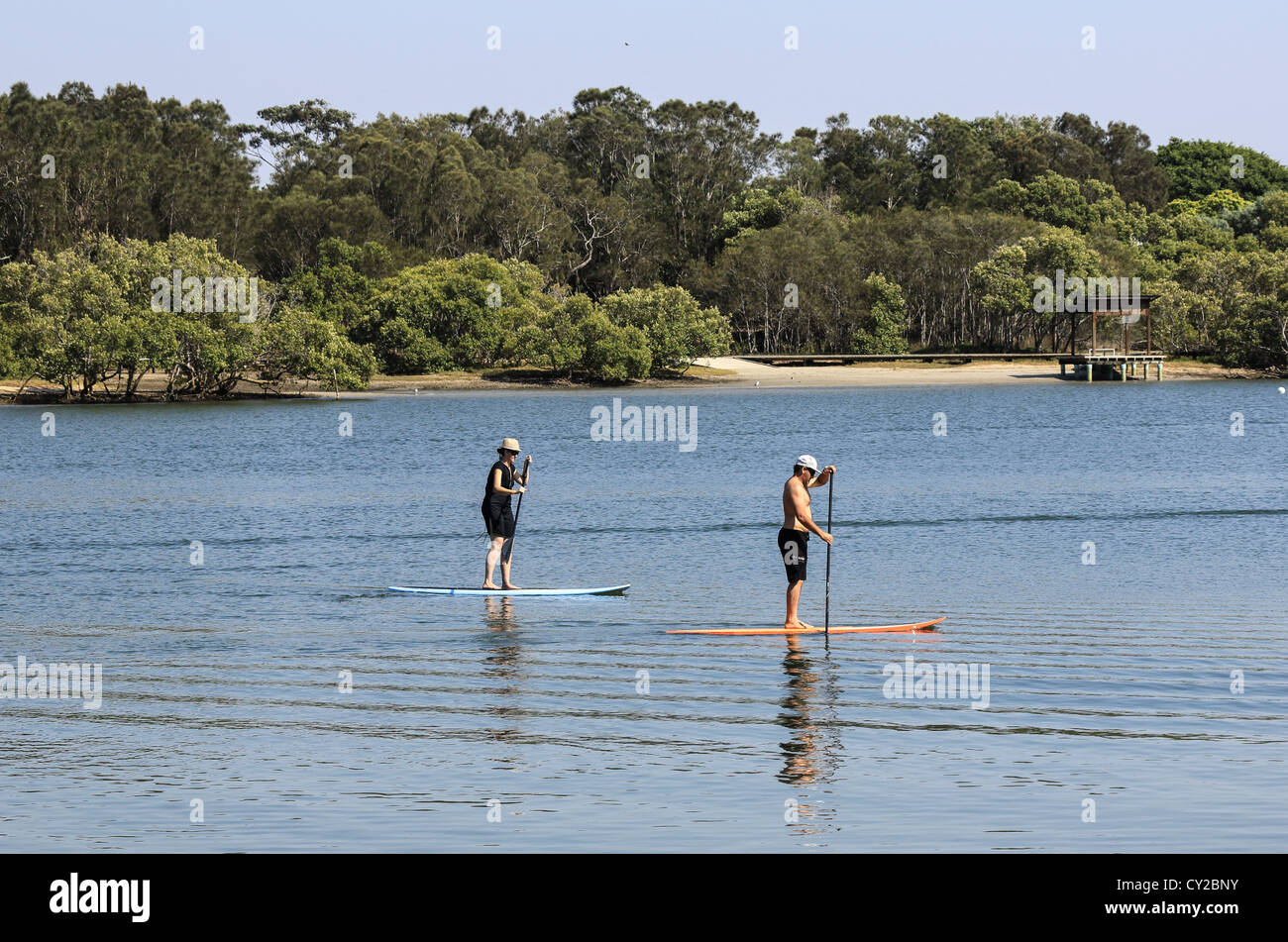 Stand up paddling on Currumbin creek early Sunday morning paddle Stock Photo Alamy