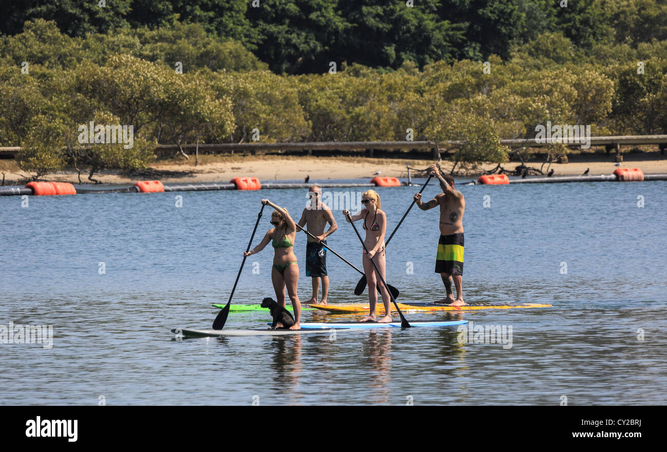 Stand up paddling on Currumbin creek early Sunday morning paddle Stock Photo Alamy