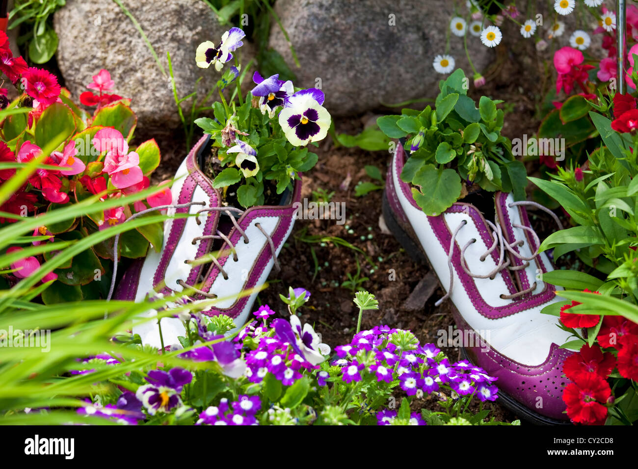 used golf shoes