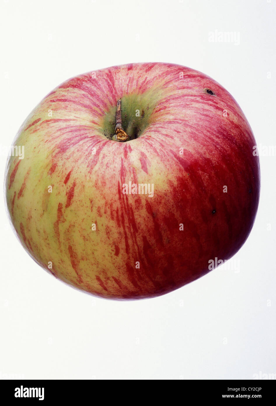 Howgate Wonder , UK apple. Stock Photo