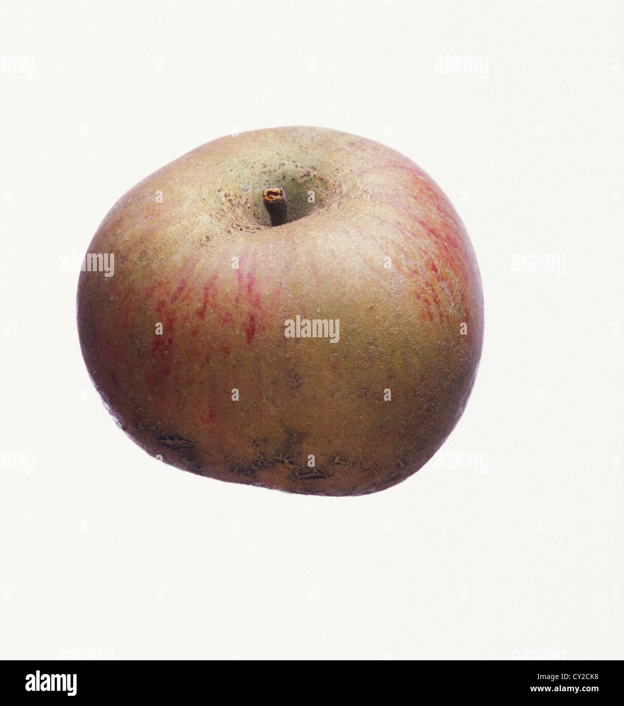Orleans Reinette, UK apple. Stock Photo