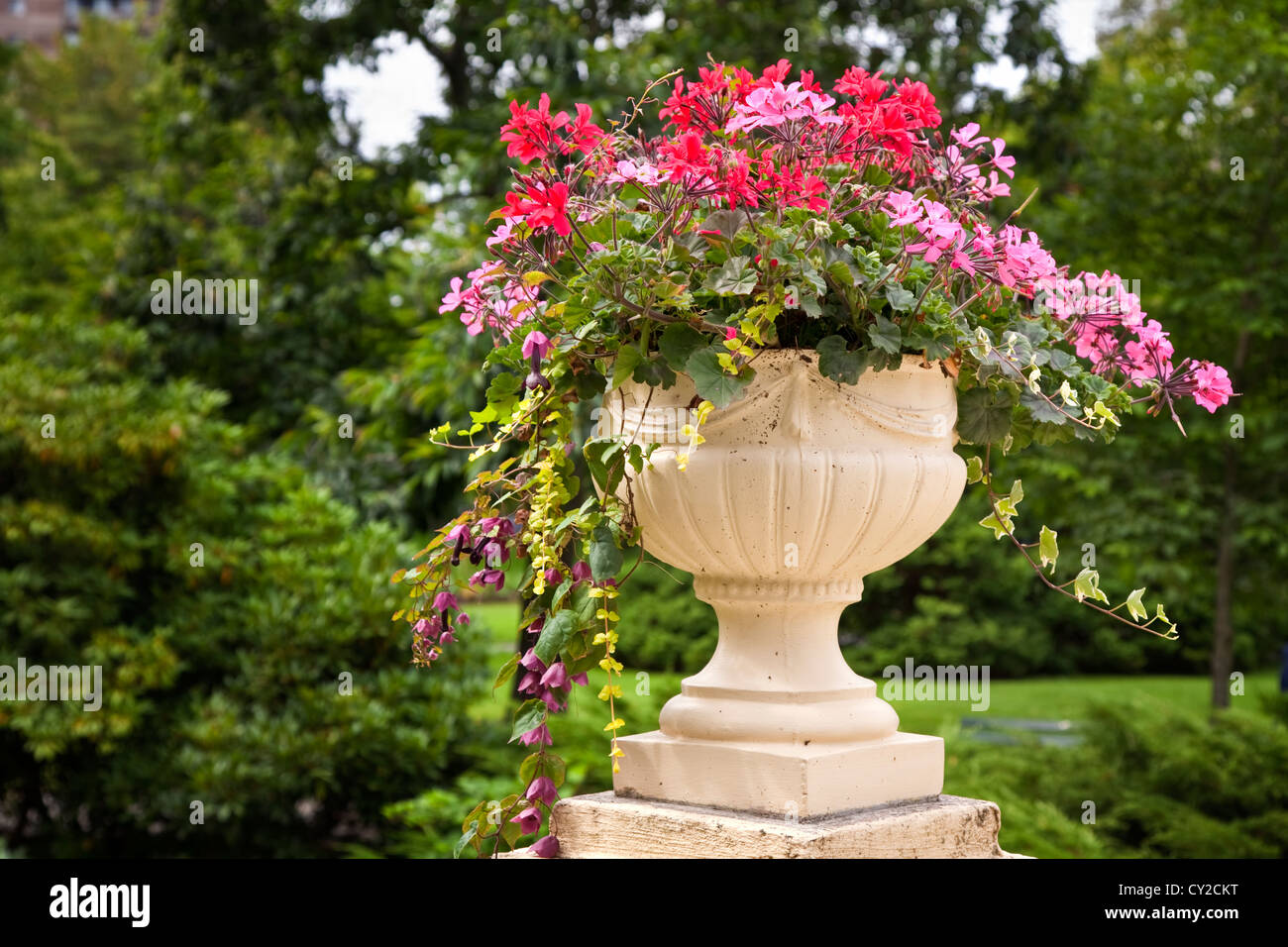 Annual flowers grown in an ornate pedestal planter. Stock Photo