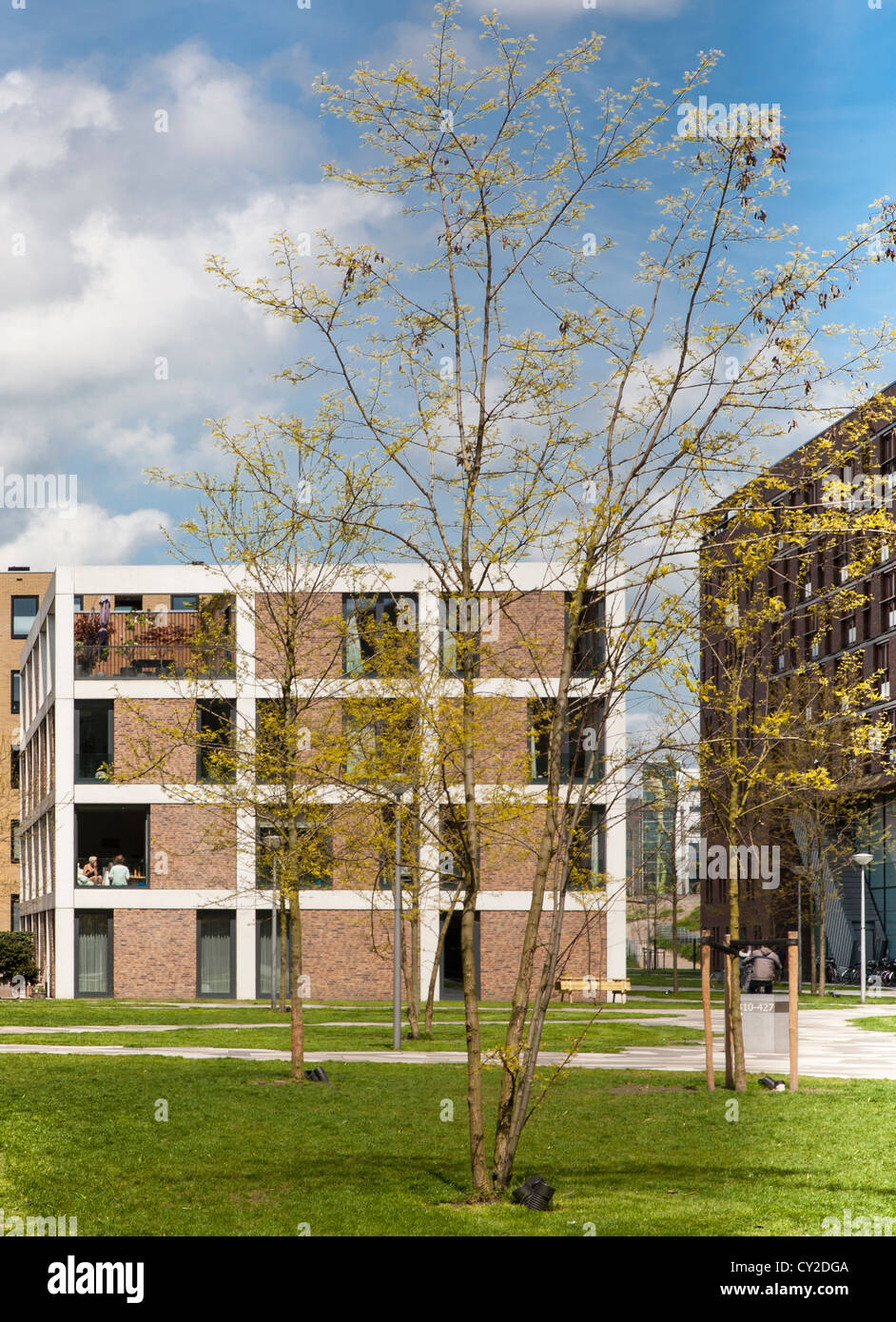 Contemporary housing, Amsterdam, Netherlands Stock Photo
