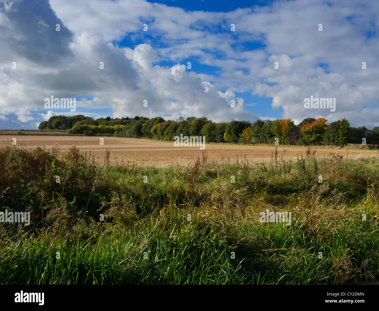 A harvested field is lined by trees turning the soft colours of autumn in the Cherwell Valley in Oxfordshire. Stock Photo