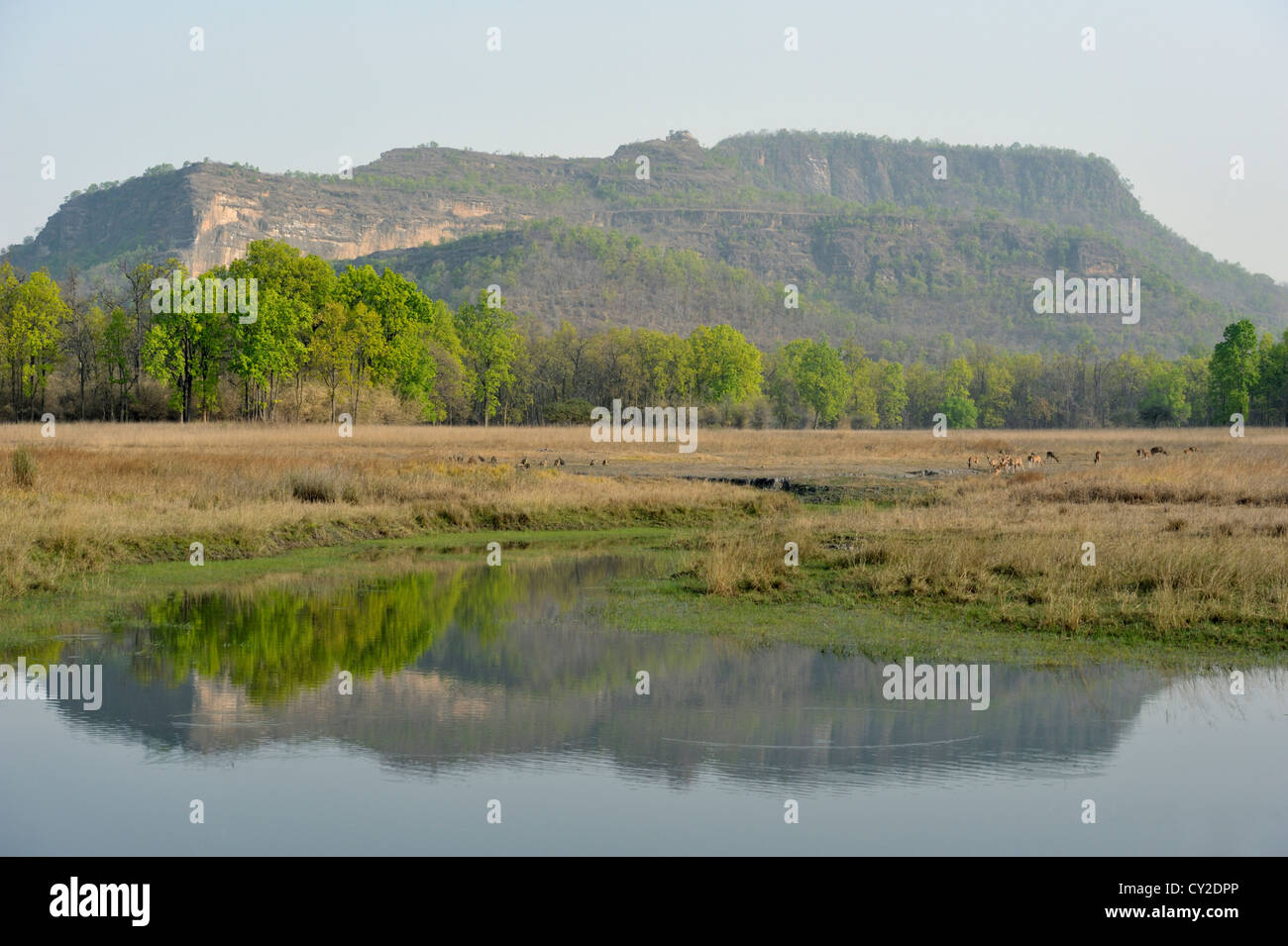 Bandhavgarh Escarpment Bandhavgarh National Park Madhya Pradesh