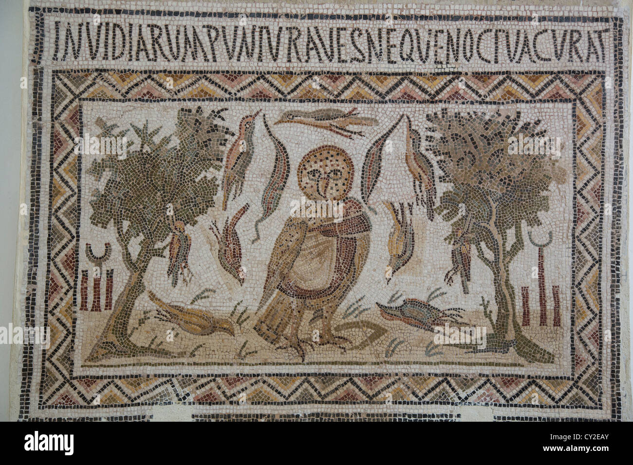 Telegenii Owl Mosaic at the Archaeological Museum in El Jem Tunisia Stock Photo