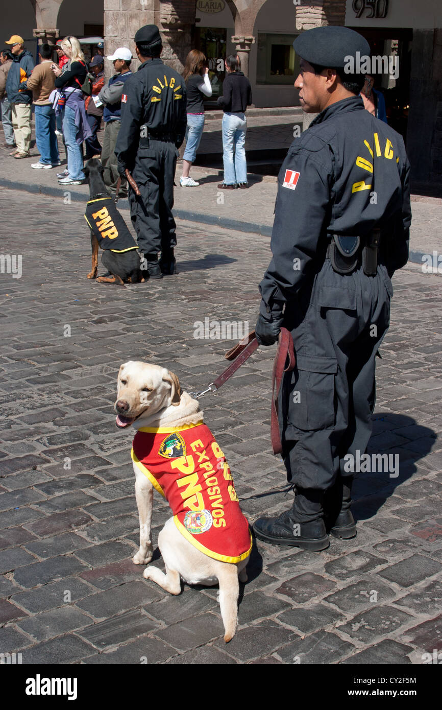 Policemen with dogs specialized in finding explosives Stock Photo